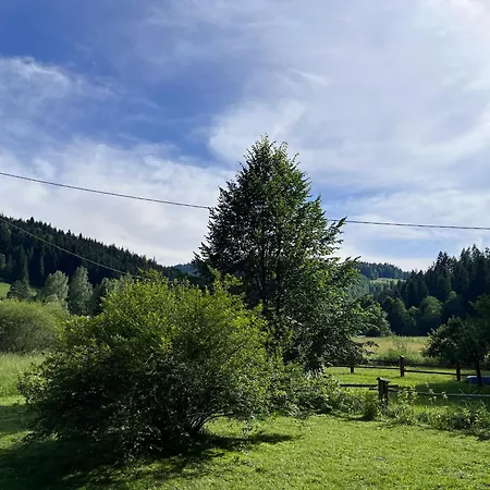 Drewniany Bb Nad Rzeką Domek letniskowy