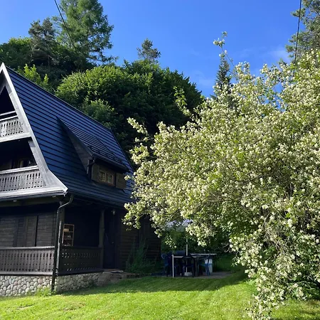 Drewniany Bb Nad Rzeką Domek letniskowy Powrożnik