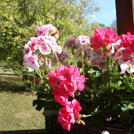 Alojamento de Turismo Selvagem Drewniany Bb Nad Rzeka