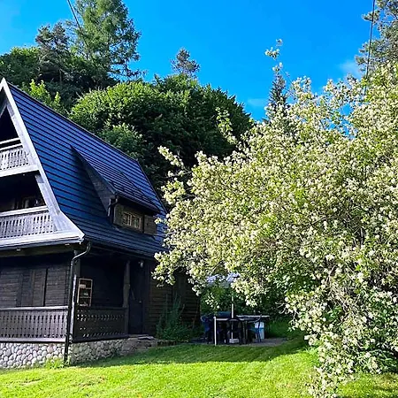 Lodge Drewniany Bb Nad Rzeka Powrożnik
