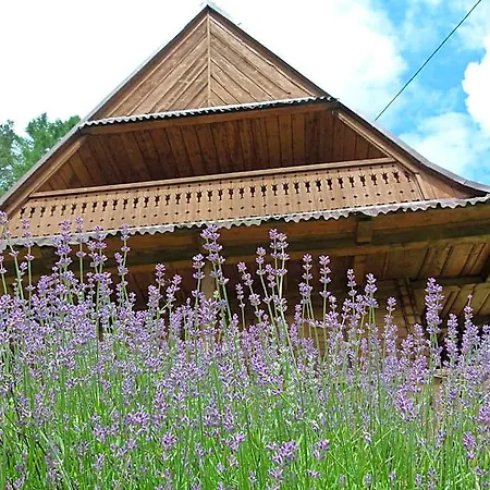 Lodge Drewniany Bb Nad Rzeka Powrożnik