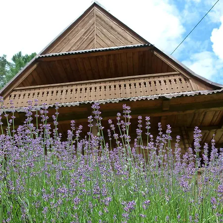 Hytte Drewniany Bb Nad Rzeka Powrożnik