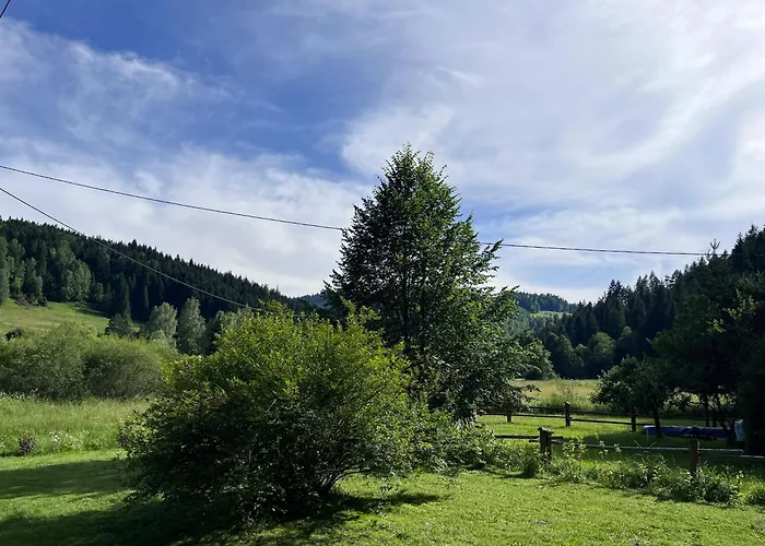 Drewniany Bb Nad Rzeka Lodge